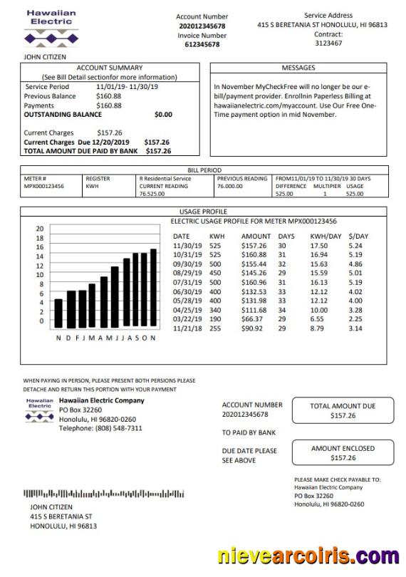 USA Hawaiian Electric utility bill